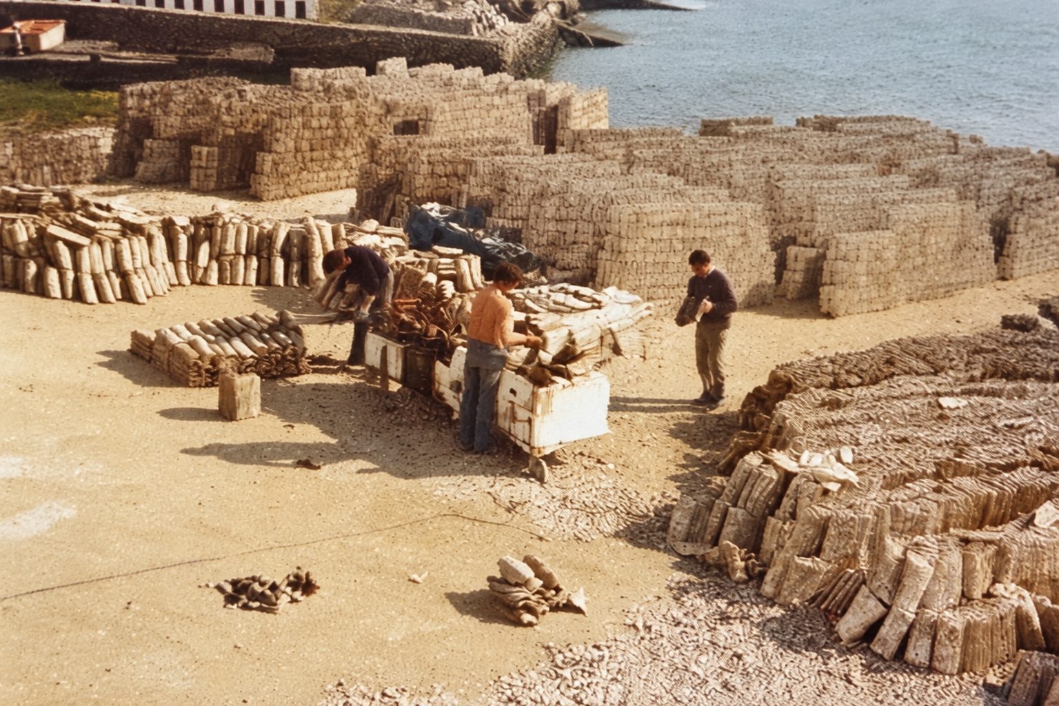 Stockage et tri des tuiles au chantier