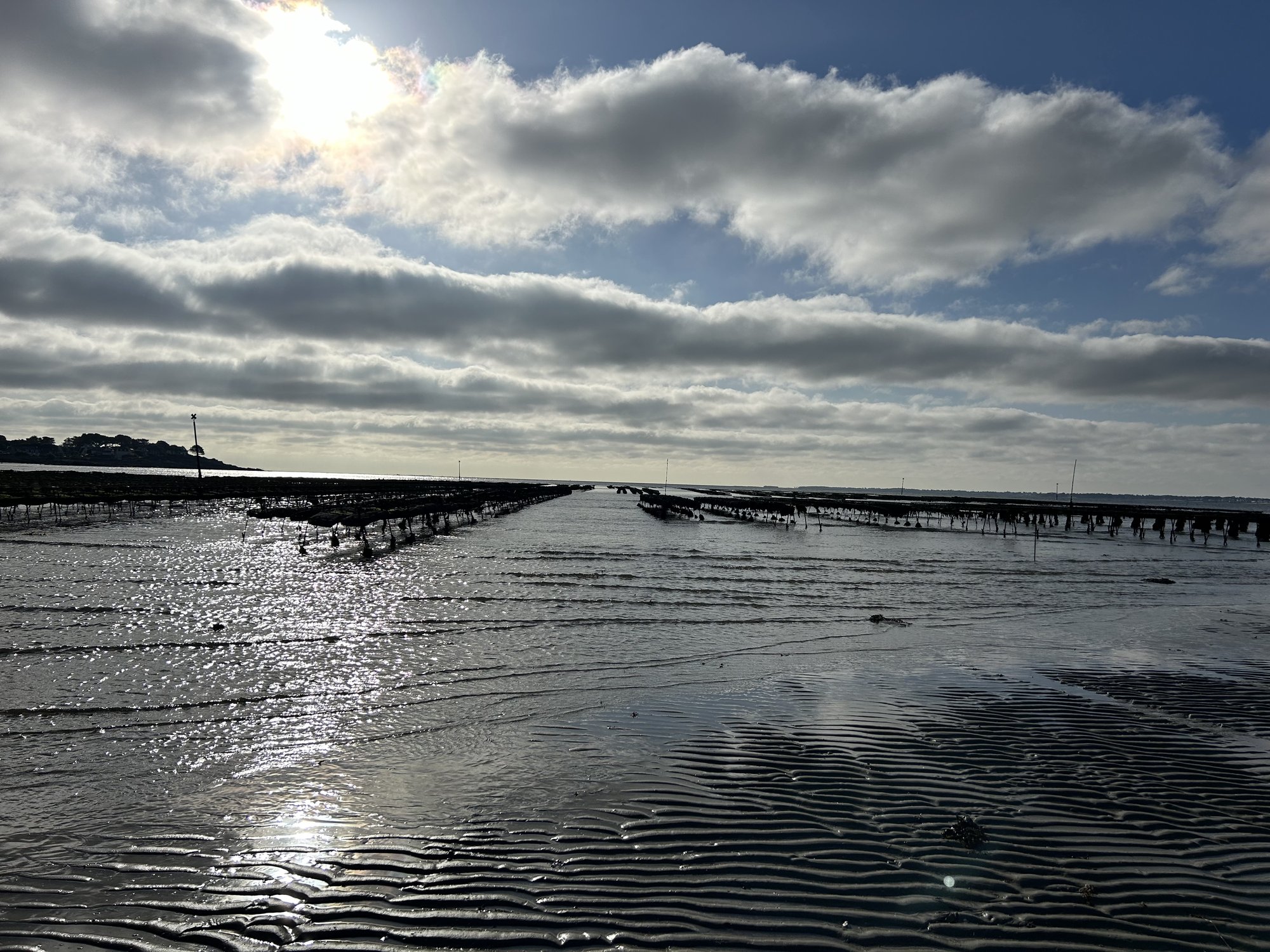 Parcs ostréicoles à Saint-Philibert, ciel dégagé à contre-jour sur les tables à marée basse