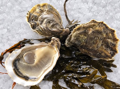 Huîtres spéciales élevées en casier australien
